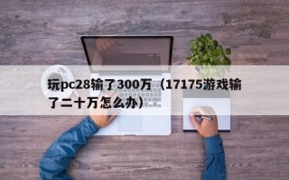 玩pc28输了300万（17175游戏输了二十万怎么办）