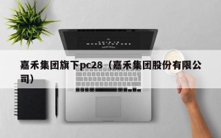 嘉禾集团旗下pc28（嘉禾集团股份有限公司）