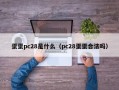 蛋蛋pc28是什么（pc28蛋蛋合法吗）