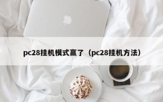pc28挂机模式赢了（pc28挂机方法）