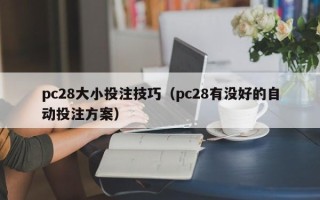 pc28大小投注技巧（pc28有没好的自动投注方案）