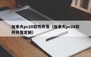 加拿大pc28软件开发（加拿大pc28软件开发定制）
