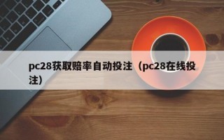 pc28获取赔率自动投注（pc28在线投注）