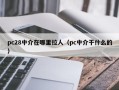 pc28中介在哪里拉人（pc中介干什么的）