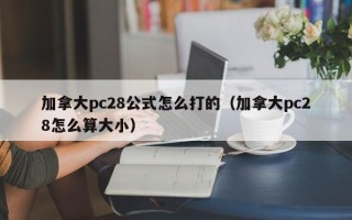 加拿大pc28公式怎么打的（加拿大pc28怎么算大小）