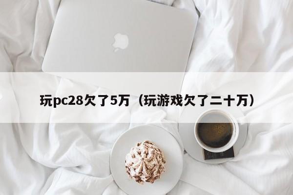 玩pc28欠了5万（玩游戏欠了二十万）-第1张图片-pc28
