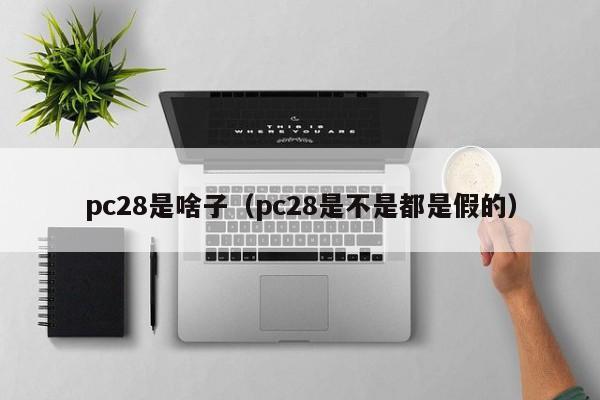 pc28是啥子（pc28是不是都是假的）-第1张图片-pc28